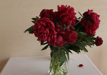 Фото компании ИП Кафе "Алые паруса" 4