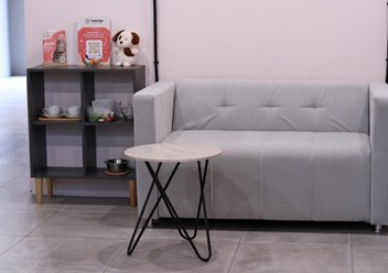 Фото компании ООО Марио Груминг 4