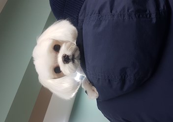 Фото компании  MamagrooM 1