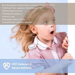 Фото компании ООО ЧОП Кобальт-С 67