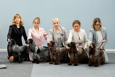 Фото компании  Iriskisdogs 4