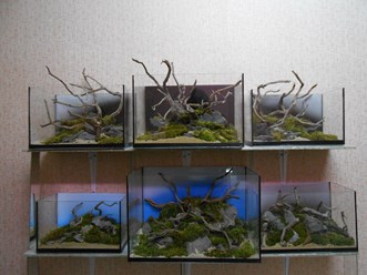 Фото компании ИП Стекольная мастерская 41