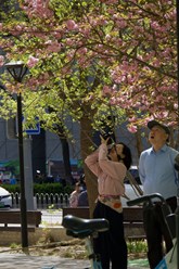 Туры в Китай 2026 https://laoshitravel.com/guide-china/tury-v-kitai-2026