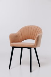 Стул Лион. Спинка - гнутый металлокаркас, опора - металлическая, 32*16 мм, сварная усиленная крестовина, порошковая окраска. Высота - 840      ширина - 580     глубина - 450