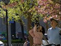 Туры в Китай 2026 https://laoshitravel.com/guide-china/tury-v-kitai-2026