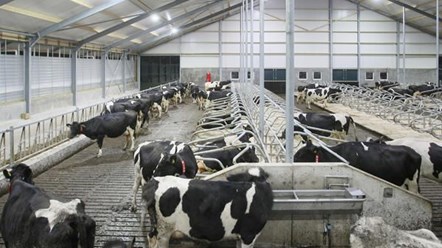Фото компании ООО Ставропольский комбинат ЖБИ 10