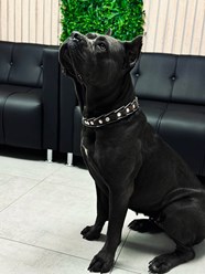 Фото компании  ПЛАНЕТА 24