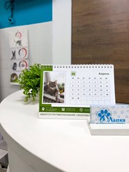 Фото компании  "Лапка" 11