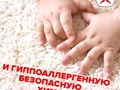 Фото компании  Пионер 2