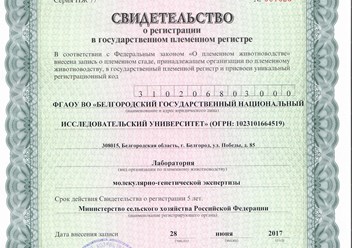 Свидетельство о регистрации в государственном племенном регистре.