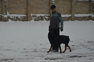 Фото компании  KARVIDEAN 14
