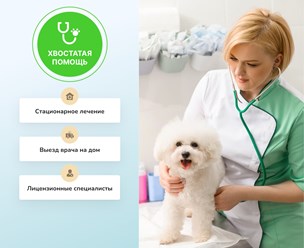 Фото компании ООО Хвостатая помощь 9