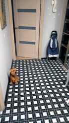 Фото компании  Ремонт-квартир 35