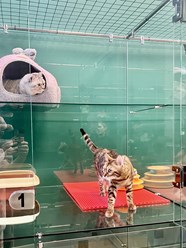 Фото компании  Усатые Гости 6