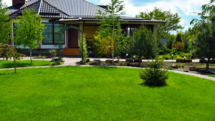 Фото компании ИП Ставропольские рулонные газоны 1