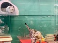 Фото компании  Усатые Гости 6