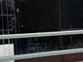 Фото компании  Уборка квартиры 24 2