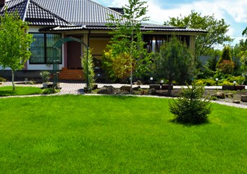 Фото компании ИП Ставропольские рулонные газоны 1