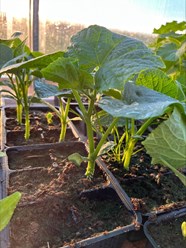 Фото компании  Бережки 4