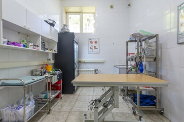 Фото компании  Манол 6