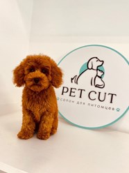 Фото компании  Pet Cut 11