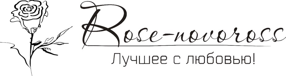 Фото компании  Rose novoross 3