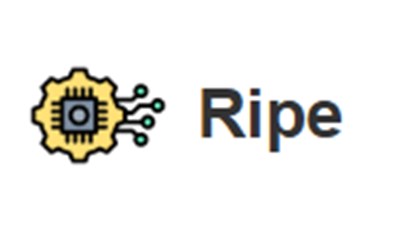 Фото компании  Ripe 1