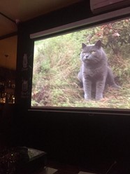 Фото компании  Менделеев 6