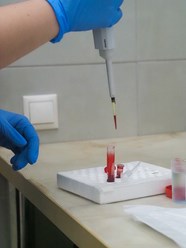 Фото компании  Веда 15