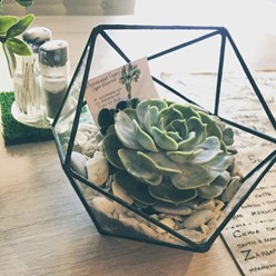 Фото компании  Менделеев 7