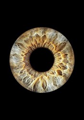 Фото компании  MemoriesUral 15