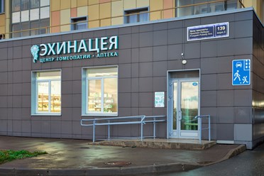 Фото компании  Эхинацея 1