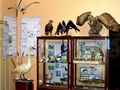 Выставка птиц