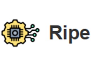 Фото компании  Ripe 1