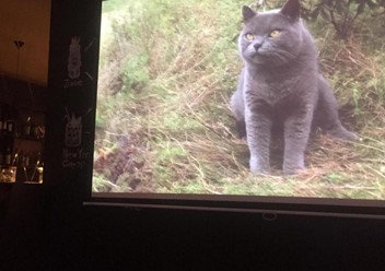 Фото компании  Менделеев 6