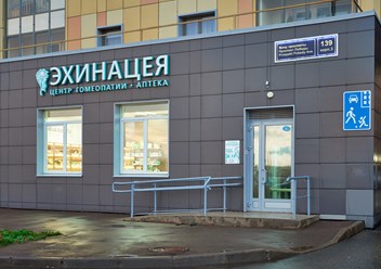 Фото компании  Эхинацея 1