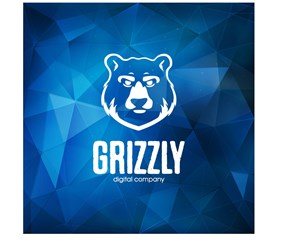 Фото компании ООО Grizzly Digital Company 3