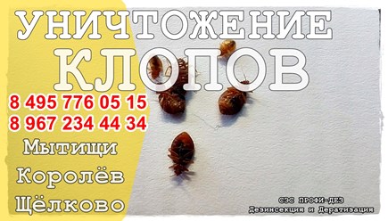 #дезинфекция 
#уничтожениеклопов 
#дезинсекция 
#уничтожениеклопов 
#уничтожениенасекомых 
#дезинсекцияколомна 
#дезинфекцияколомна 
#уничтожениекомаровколомна 
#уничтожениеклоповколомнепрофидез
