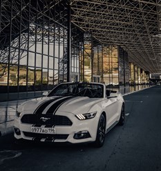 Фото компании  Rich Car 1
