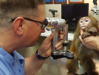 Фото компании  Центр ветеринарной офтальмологии доктора Шилкина А.Г. на  5-ой Парковой 10