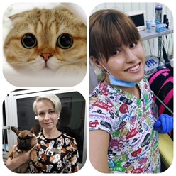 Фото компании ООО Кабинет ветеринарной медицины 46