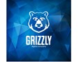 Фото компании ООО Grizzly Digital Company 3