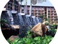 Фото компании ООО Shato Travel 2