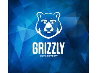 Фото компании ООО Grizzly Digital Company 3