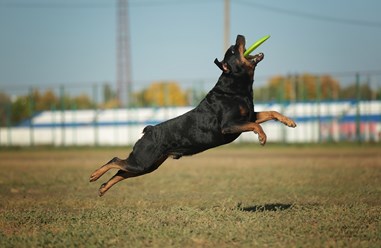 Фото компании  KARVIDEAN 7