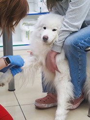 Фото компании  Веда 18