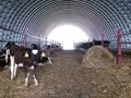 Фото компании ООО Аркарус 5