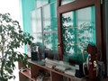 Фото компании  "ОКНА РОСТА" Талдом 1