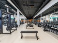 Фото компании  DDX Fitness 5
