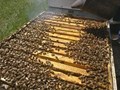 Фото компании ИП Пчеловод Василий Рудобелец 6